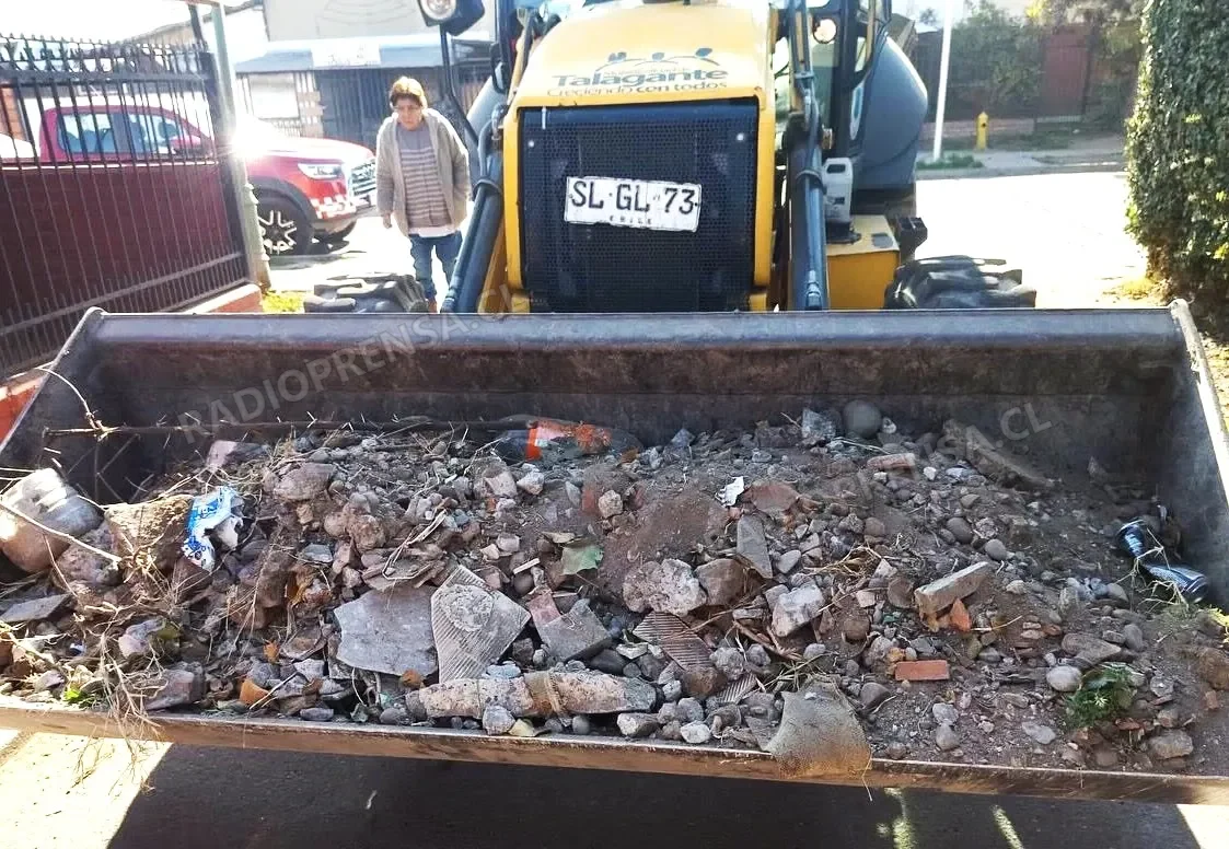 Municipio de Talagante retiró 78 toneladas de basura y realizó decenas de atenciones veterinarias en una semana