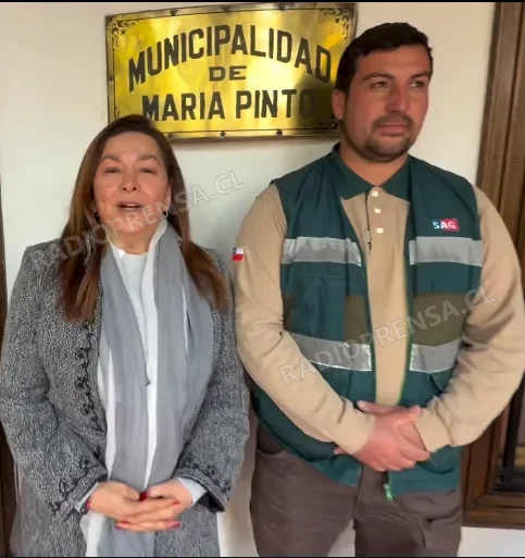 María Pinto refuerza vigilancia por brote de fiebre aviar: más de 310 aves han sido sacrificadas