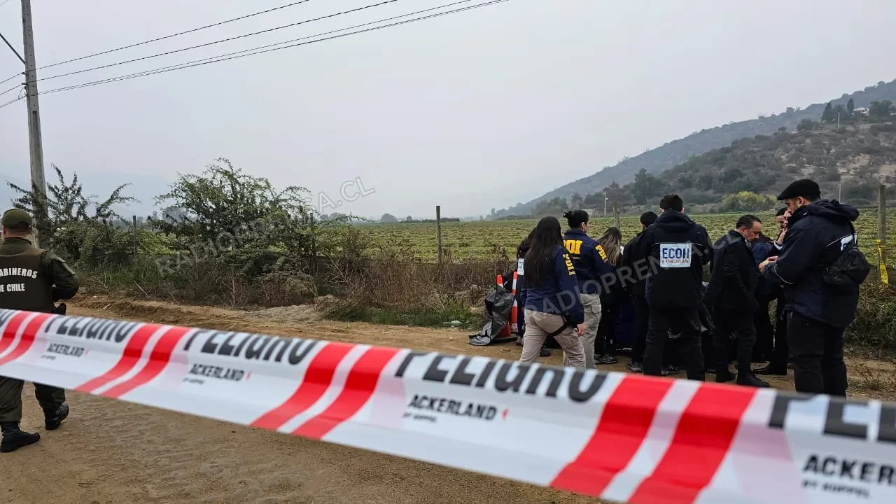 Hallan cuerpo desmembrado e incinerado en Curacaví
