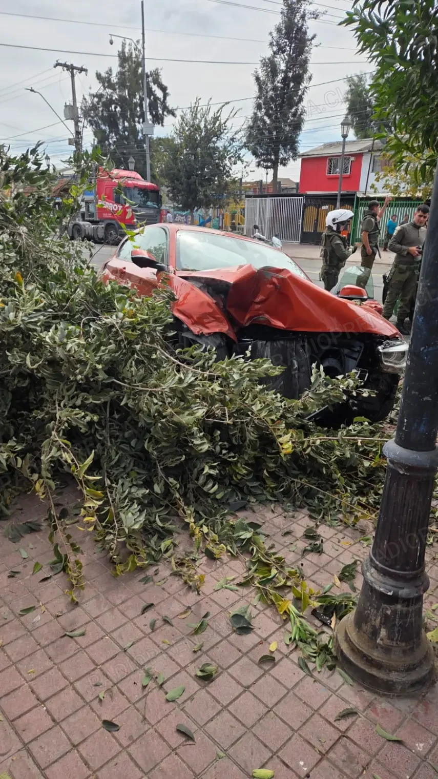 Banda de menores roba auto de alta gama y choca con árbol