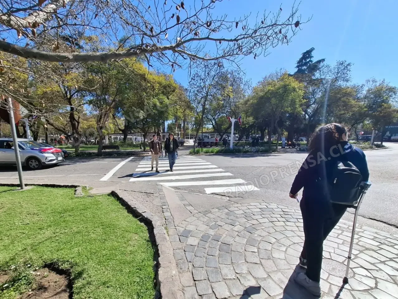 Talagante refuerza seguridad en Plaza de Armas con poda de árboles y repintado de pasos peatonales
