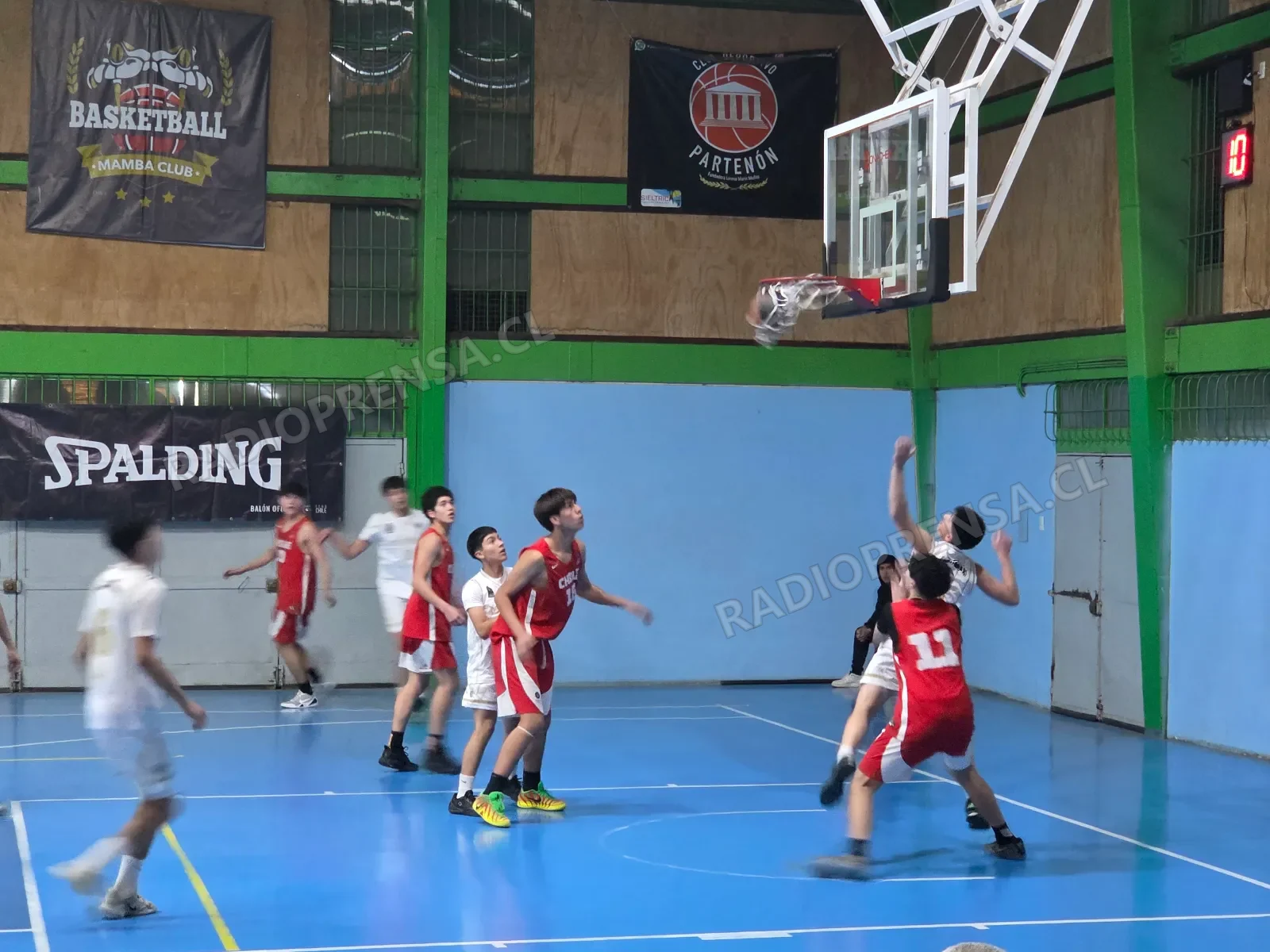 Doble jornada tendrá Mamba en liga de desarrollo