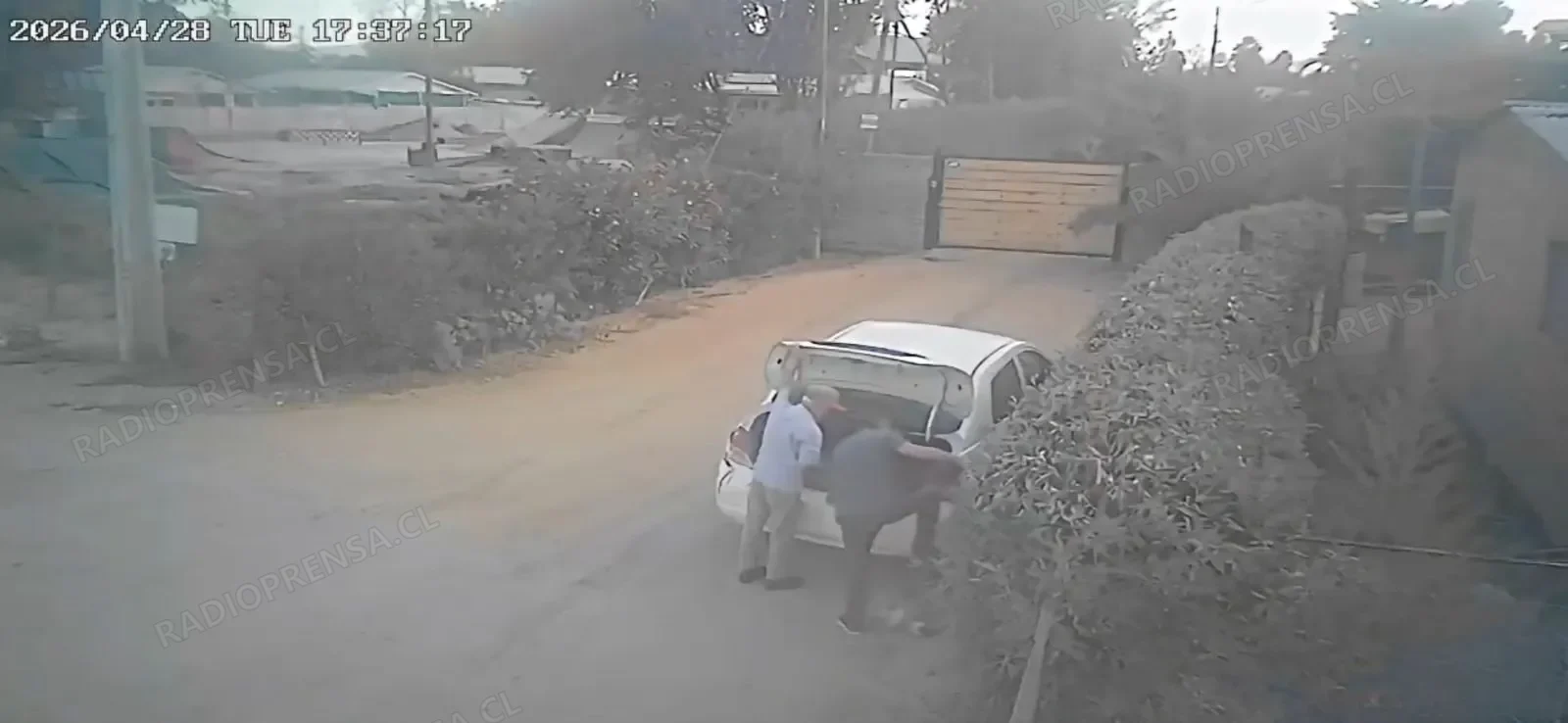 Indignación: Sujeto es detenido tras violento maltrato animal que terminó con la muerte de un gato en María Pinto