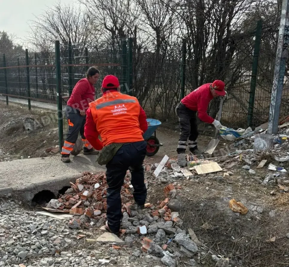 Trabajos con maquinaria pesada y cuadrillas se extienden a distintos sectores de la comuna