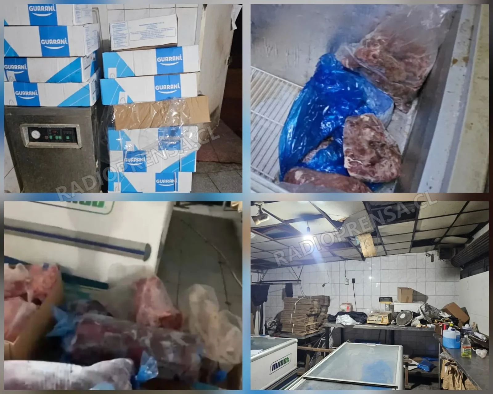 Desmantelan local clandestino de procesamiento de carne insalubre en Peñaflor