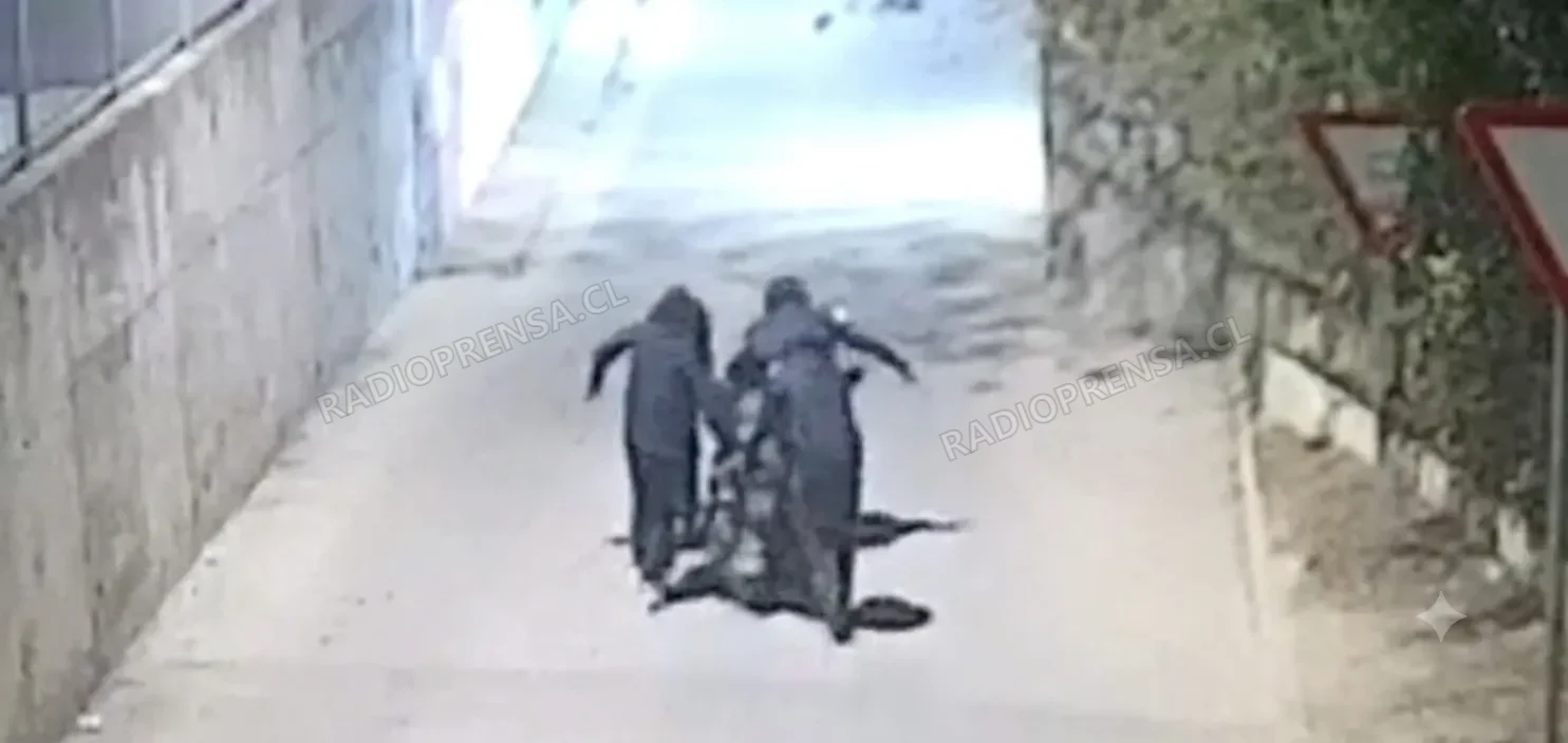 Exitoso operativo conjunto permite recuperar motocicleta robada en Curacaví