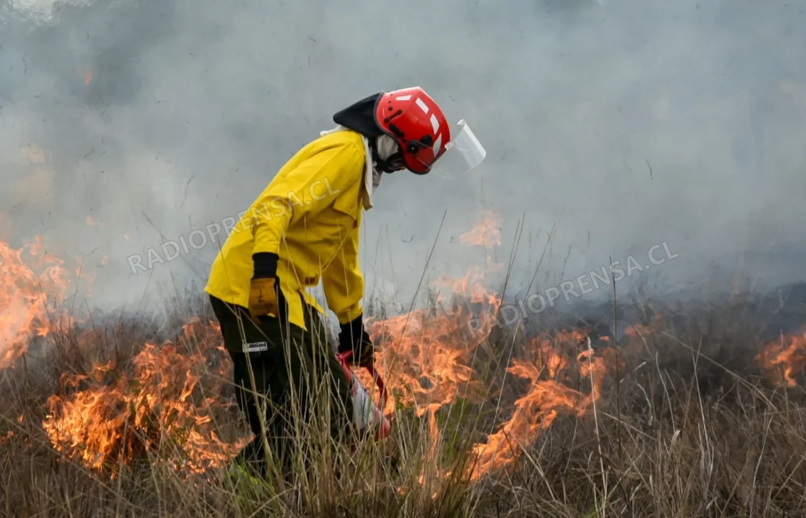 CONAF inicia preparativos para la temporada de incendios forestales 2026-2027