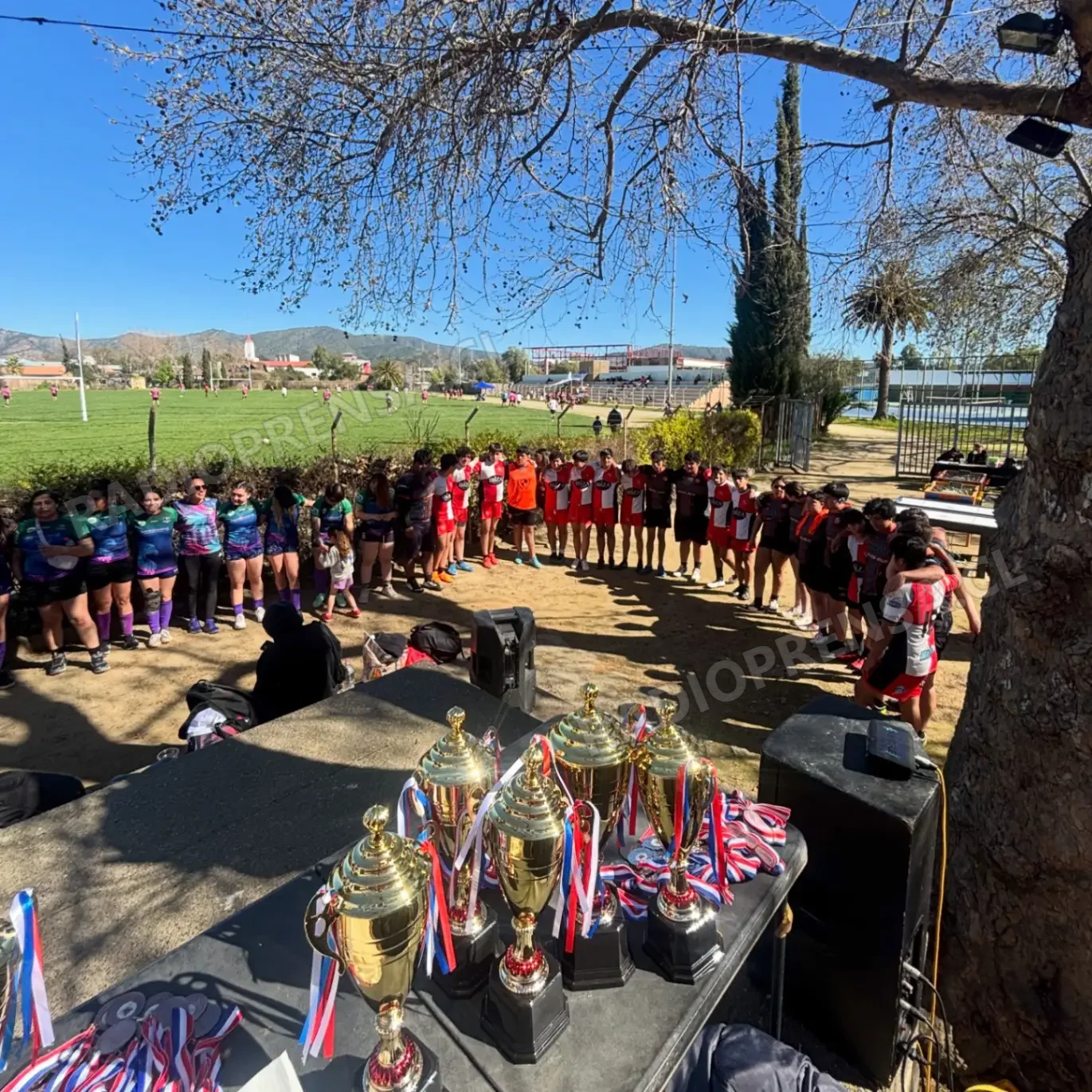 Melipilla Athletic logra destacados resultados en Torneo Seven disputado en Casablanca