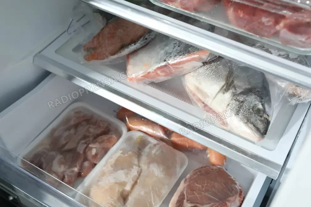 Cge compensará pérdida de alimentos tras extensos cortes de energía por sistema frontal