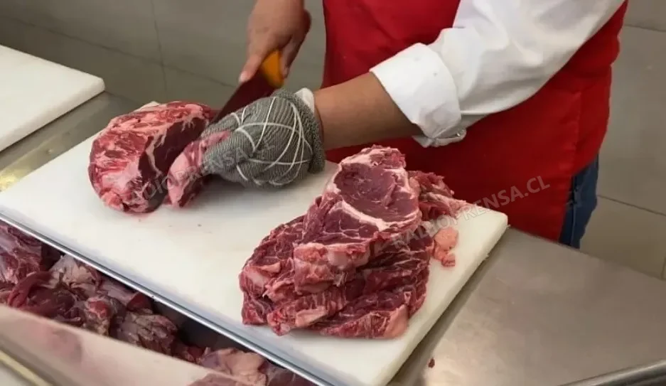 Autoridad Sanitaria intensifica fiscalizaciones a la venta de carnes en Melipilla por Fiestas Patrias