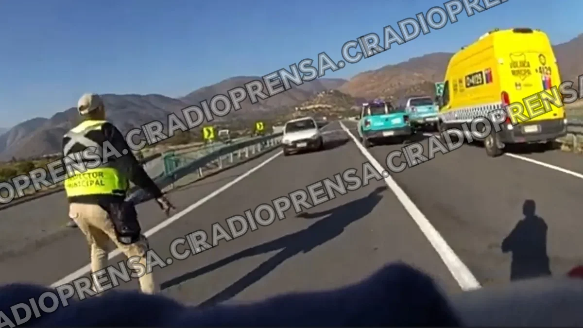 Prisión preventiva para conductor que atropelló a inspector municipal en Curacaví