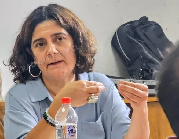 Directora del SLEP de Talagante descarta riesgos para el traspaso de los establecimientos educacionales