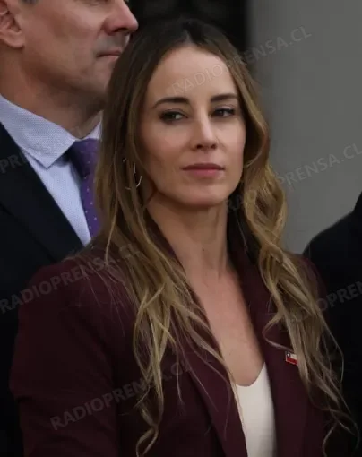 Gobierno justifica salida de 15 seremis por revisión de antecedentes