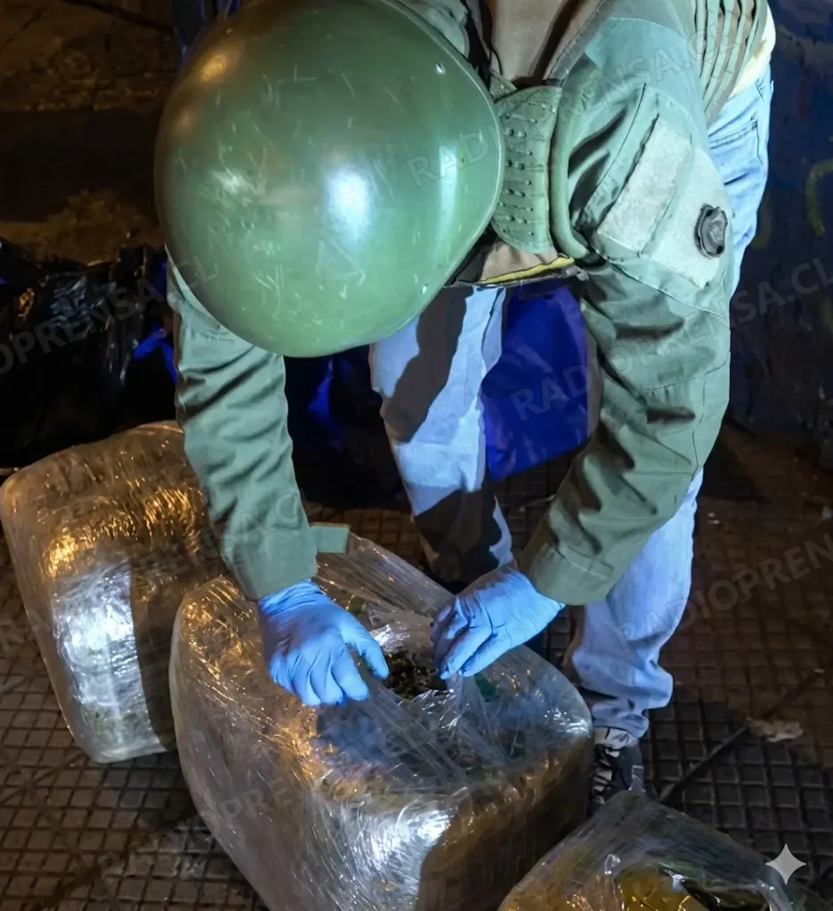 Golpe al narcotráfico: incautan más de 270 kilos de marihuana