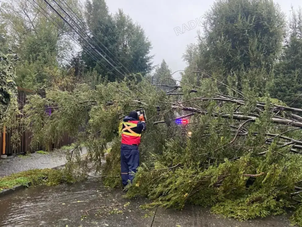 Sistema frontal deja 11 lesionados y más de 200 viviendas afectadas en el sur