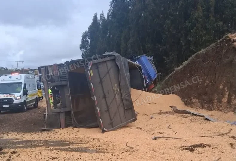 Camión volcó en la Ruta de la Fruta a la altura de la comuna de San Pedro