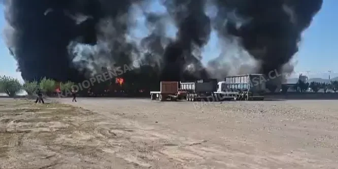 Incendio consume pabellón de pollos en agrícola Los Tilos de Talagante