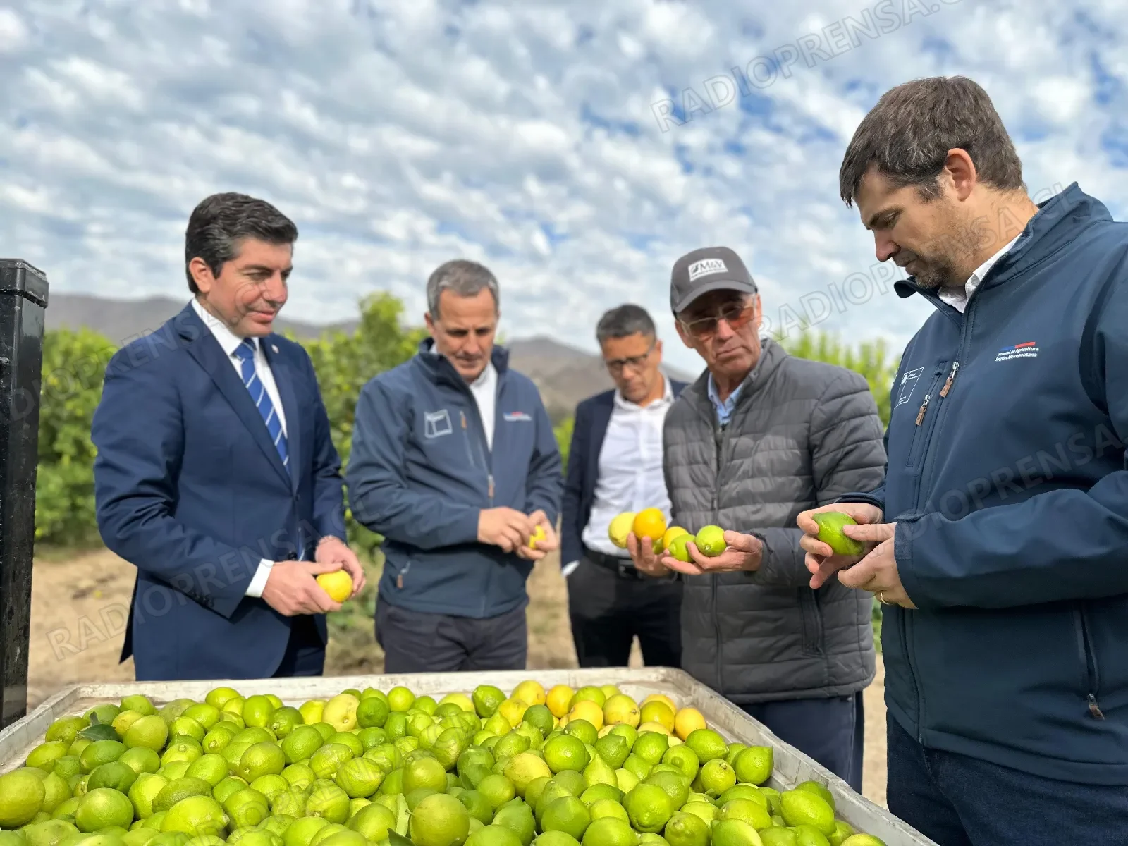 Autoridades visitan experiencias de usuarios INDAP de las comunas de Curacaví y María Pinto