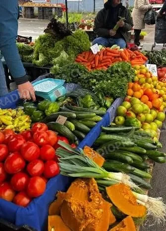 Temporal provocó alza en frutas y verduras en feria de productores de Melipilla