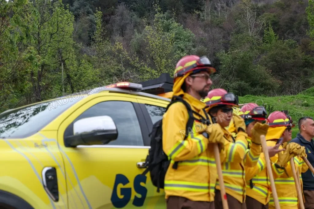 Abren 120 cupos de empleo para prevención de incendios forestales en la RM