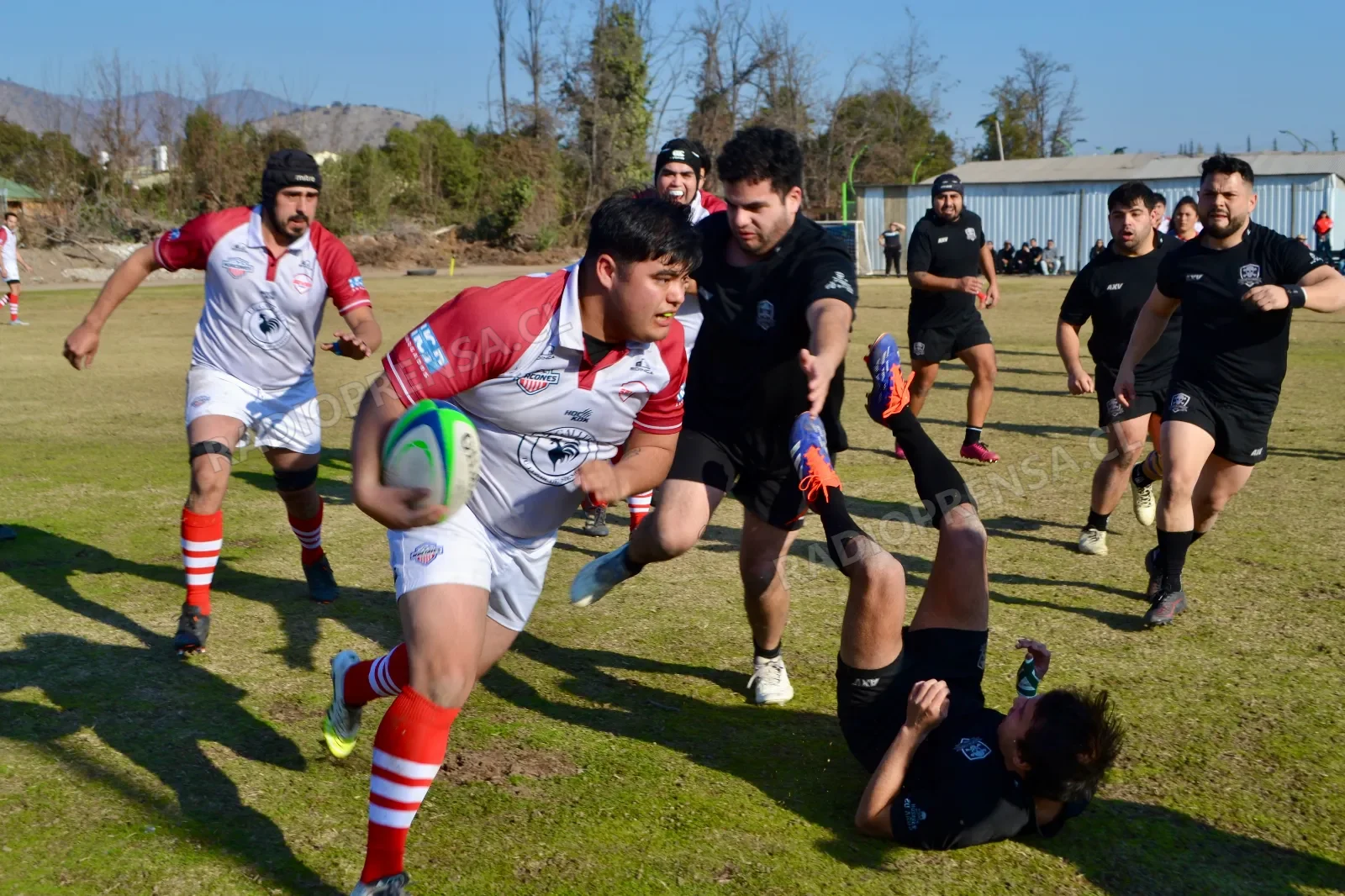 Horcones jugará por el tercer lugar de campeonato Arumet