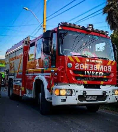 Incendio forestal consumió 2,5 hectáreas en sector La Manresa de Talagante