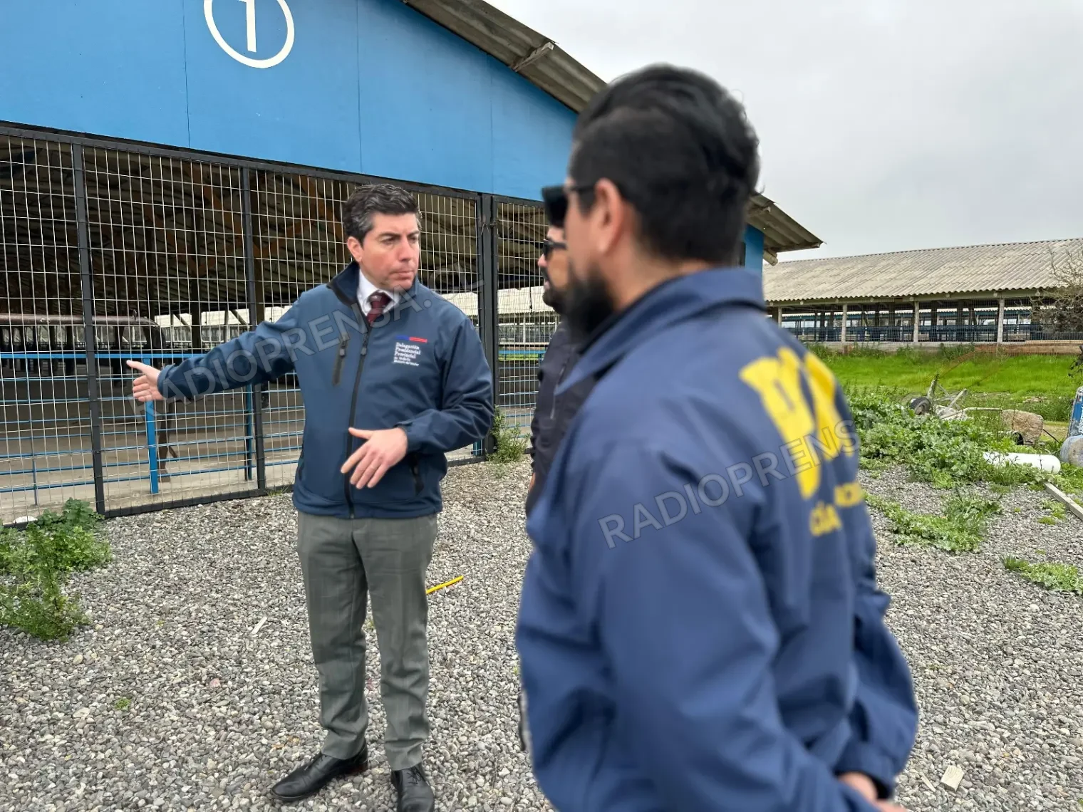 Autoridades fiscalizan sectores de Pallocabe y Pabellón por denuncias relacionadas con planteles de cerdos