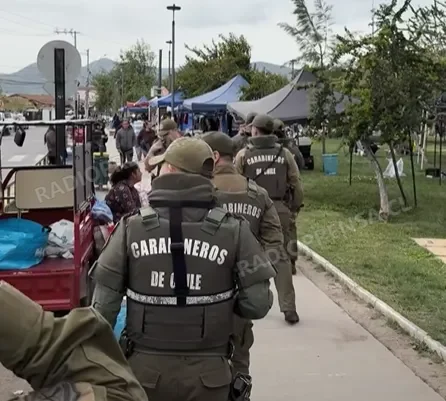 Fiscalización interinstitucional en feria El Manzano de Padre Hurtado deja un detenido y sumarios sanitarios