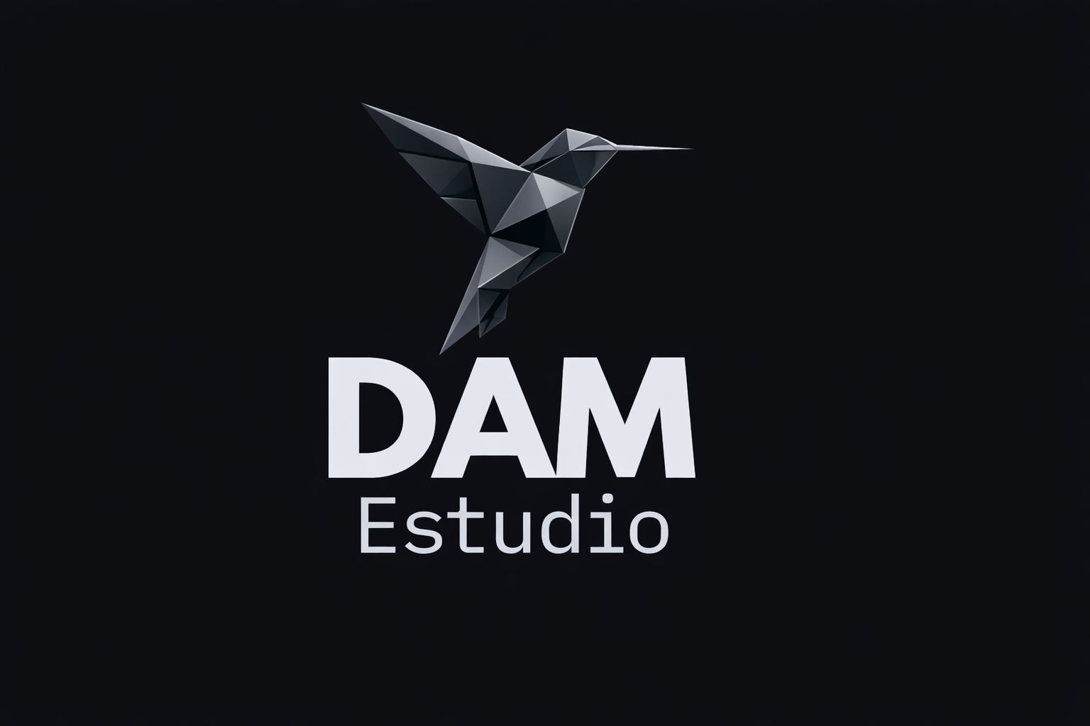 dam estudio