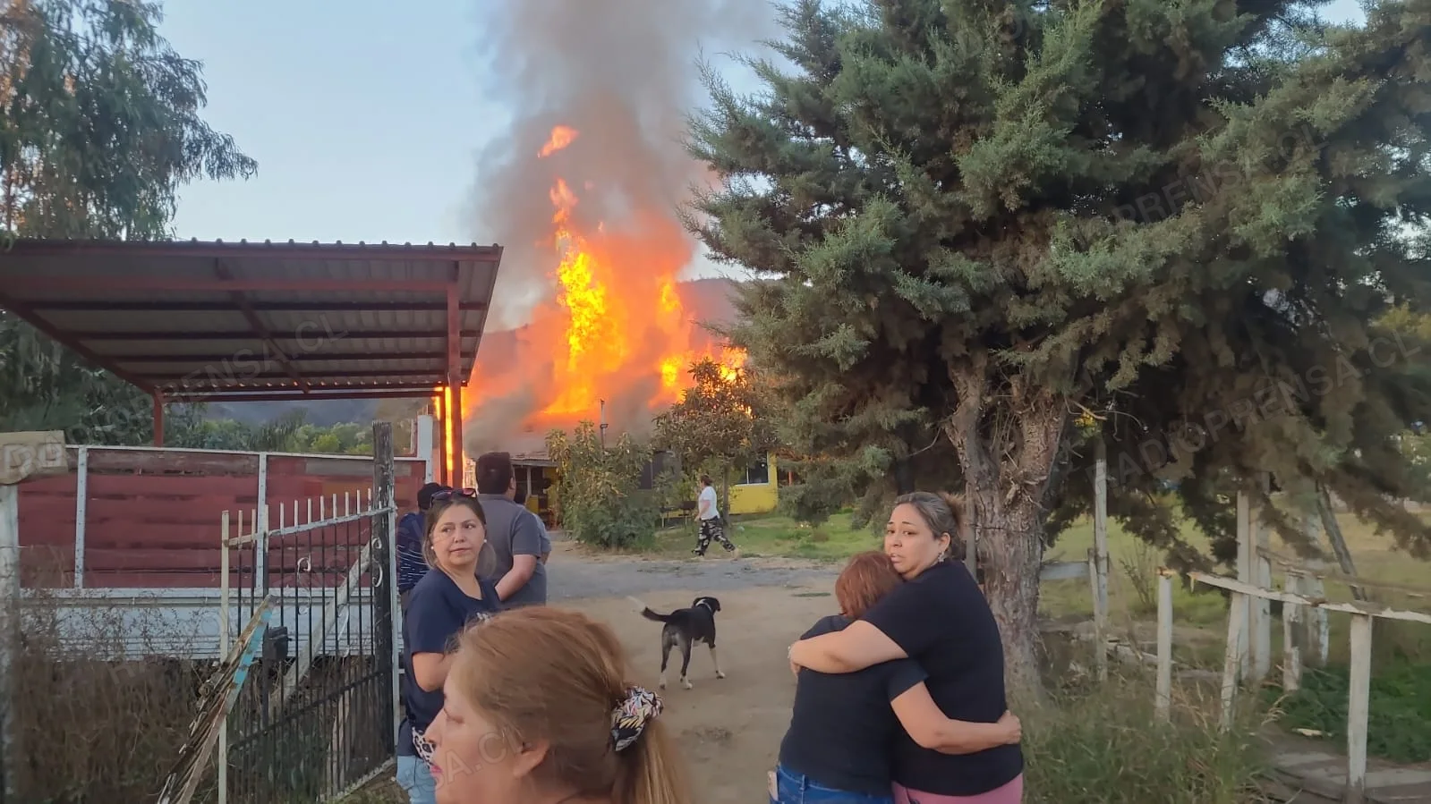 Bomberos combate incendio en minimarket de Mallarauco