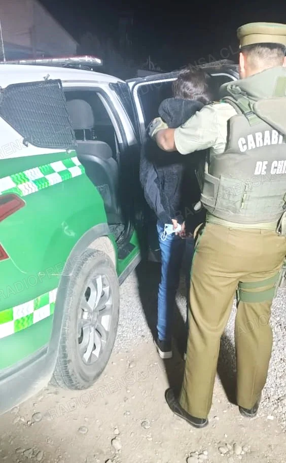 Infracción a la Ley 20.000: Mujer queda a disposición de la justicia por cultivo de drogas en El Monte