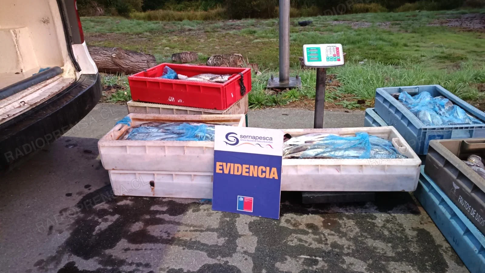 Con megaoperativos en los accesos de Melipilla y Curacaví refuerza la seguridad alimentaria en vísperas a Semana Santa