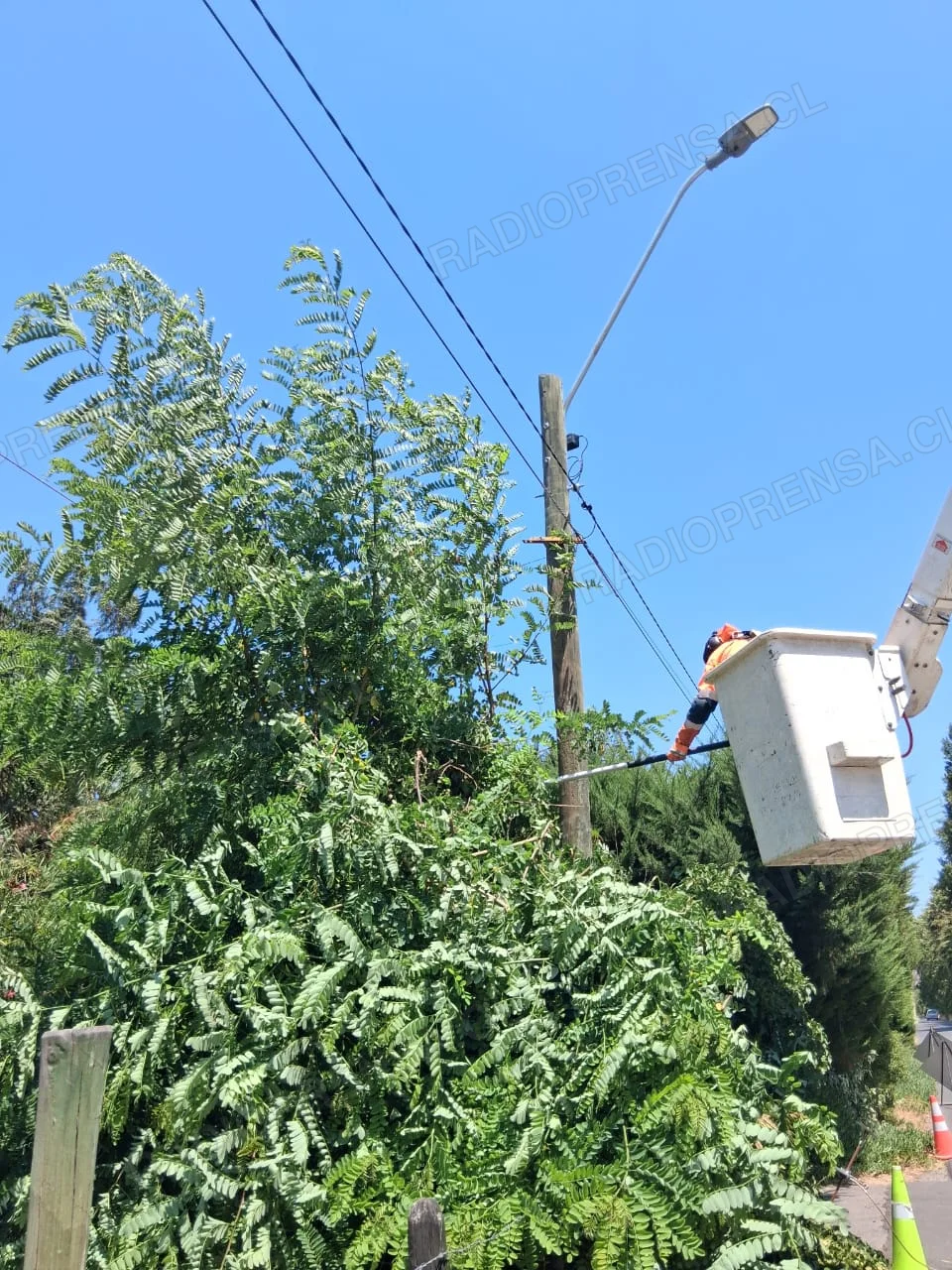 CGE refuerza redes eléctricas en María Pinto y Curacaví con nuevas inversiones