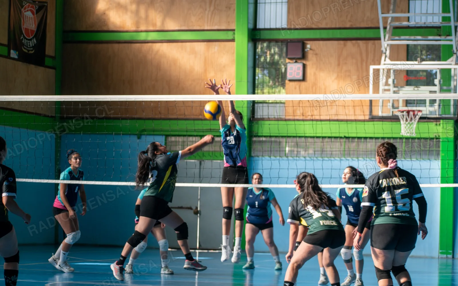 Aparecen los primeros líderes de la Liga Municipal de Vóleibol