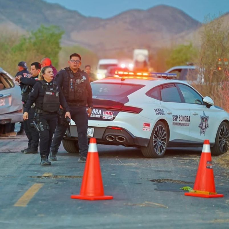 Professional Security Team