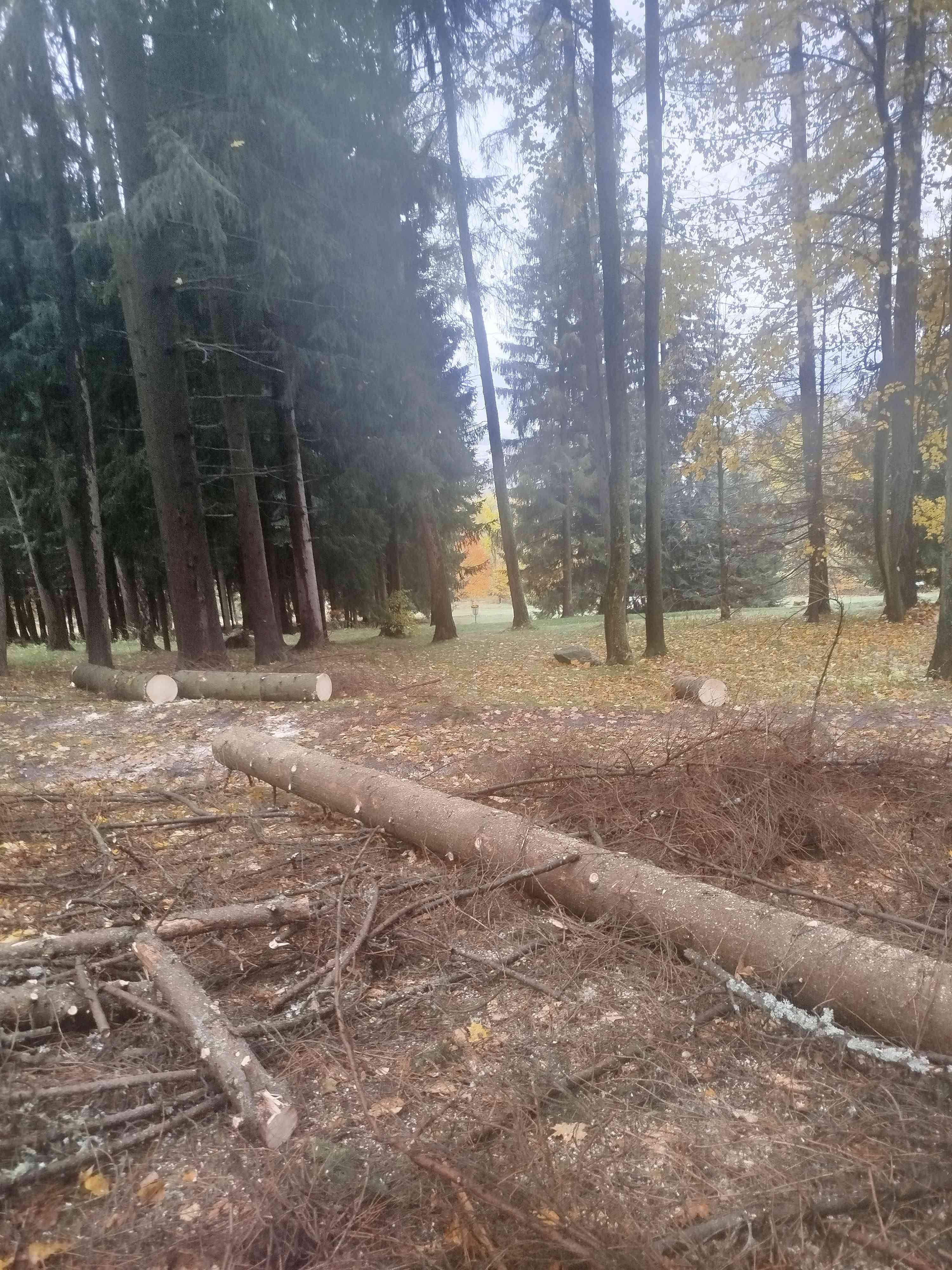 DG park Priessnitz-Jeseník disc golf course in Jeseník District, Olomouc Region