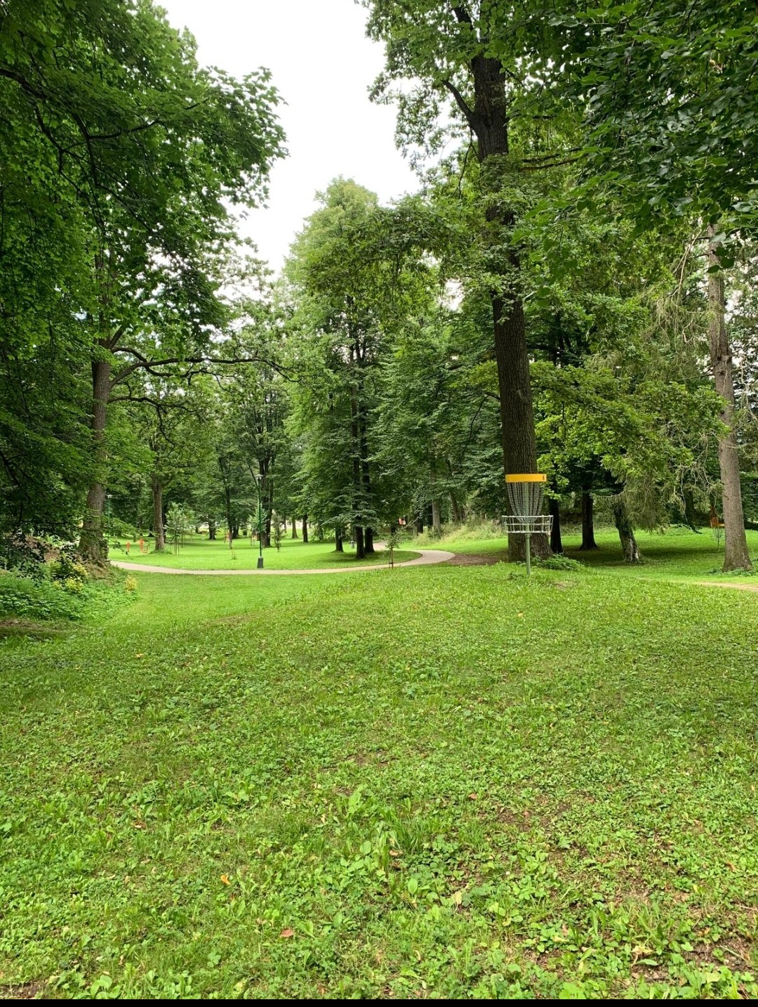 Za EDEL disc golf course in Jeseník, Olomoucký kraj