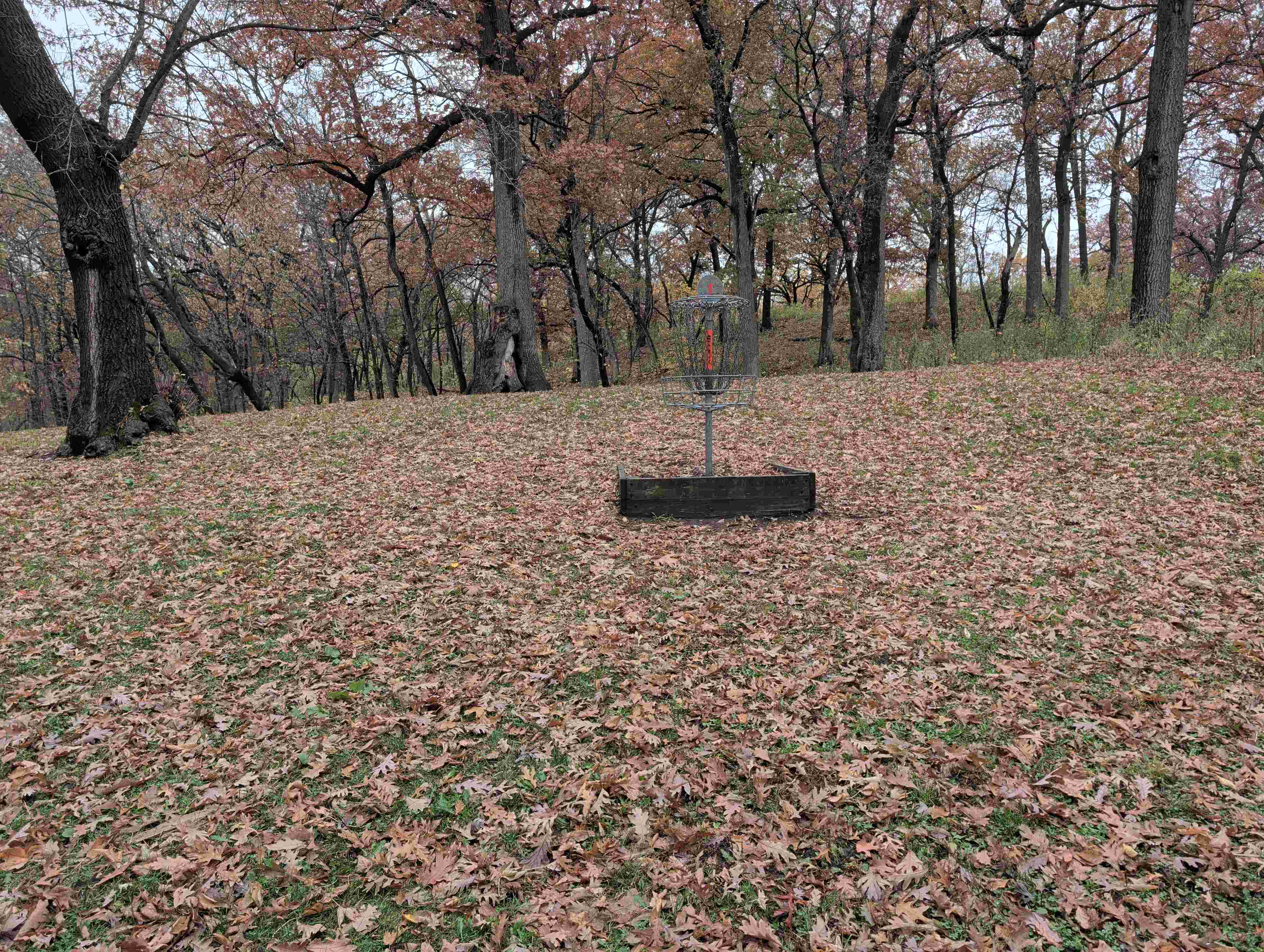 Garlough Park disc golf course in West Saint Paul, MN