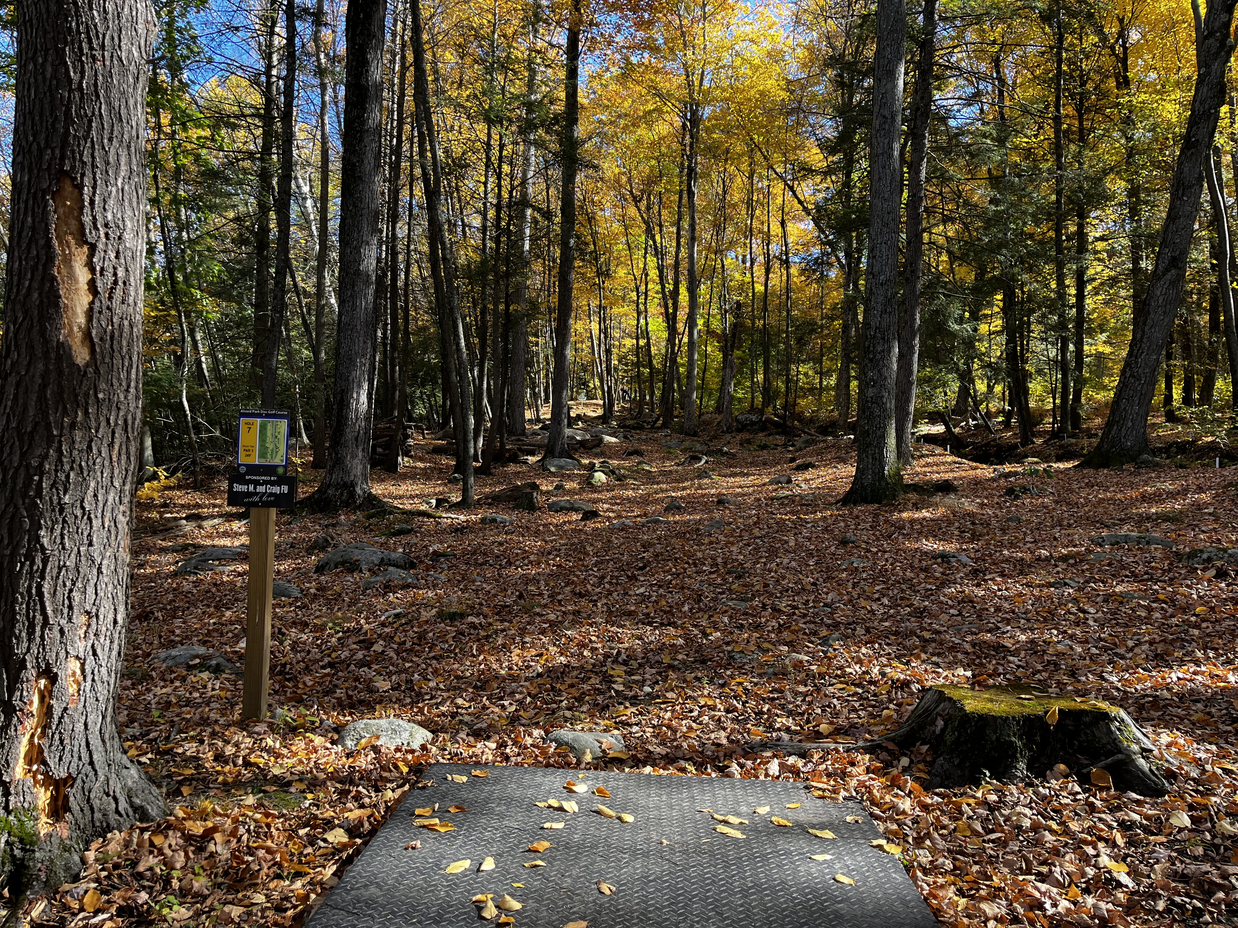 Alvord Park DGC disc golf course in Torrington, Connecticut