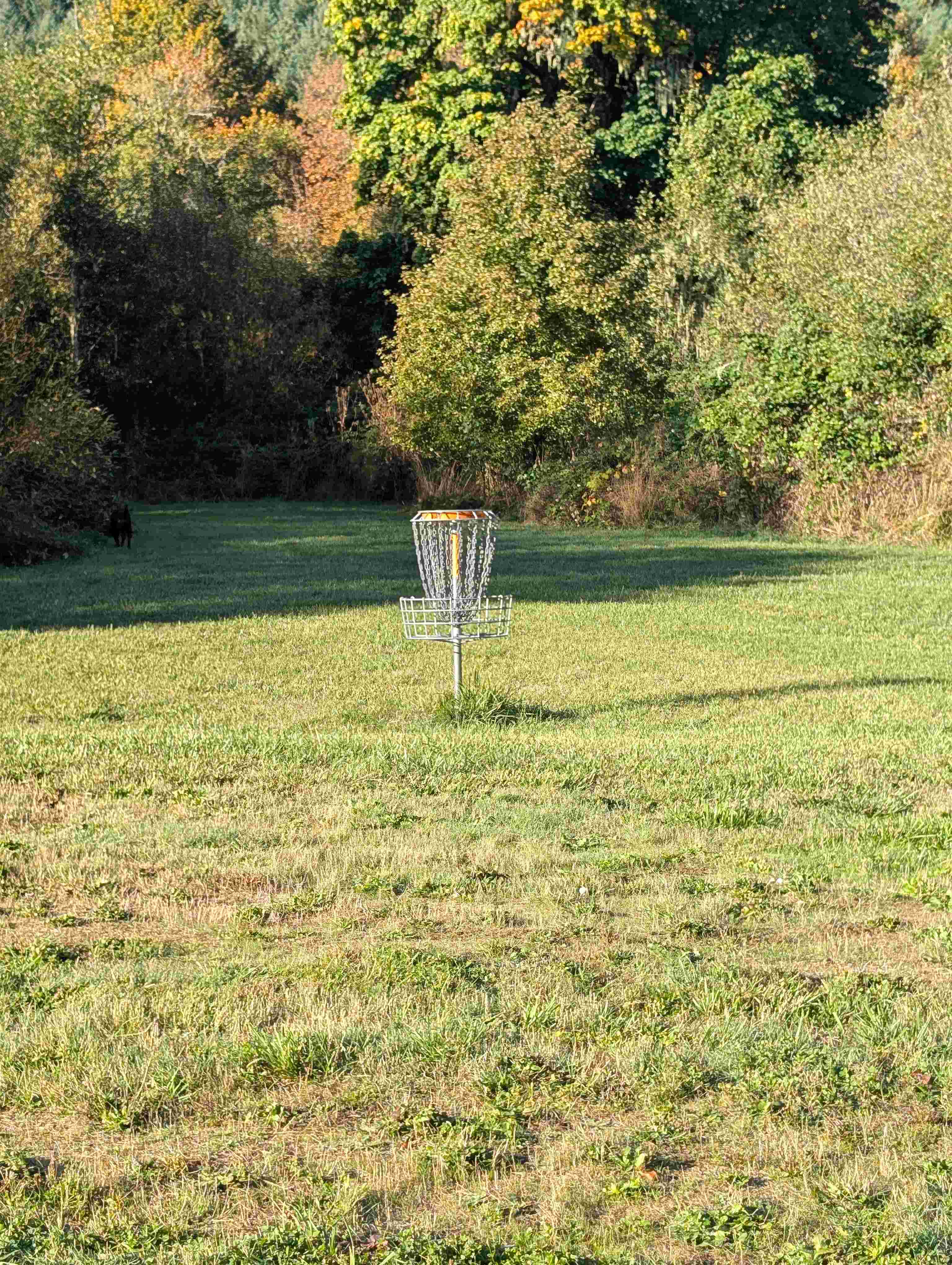 Grand Ronde "Coyote" course disc golf course in Grand Ronde, OR