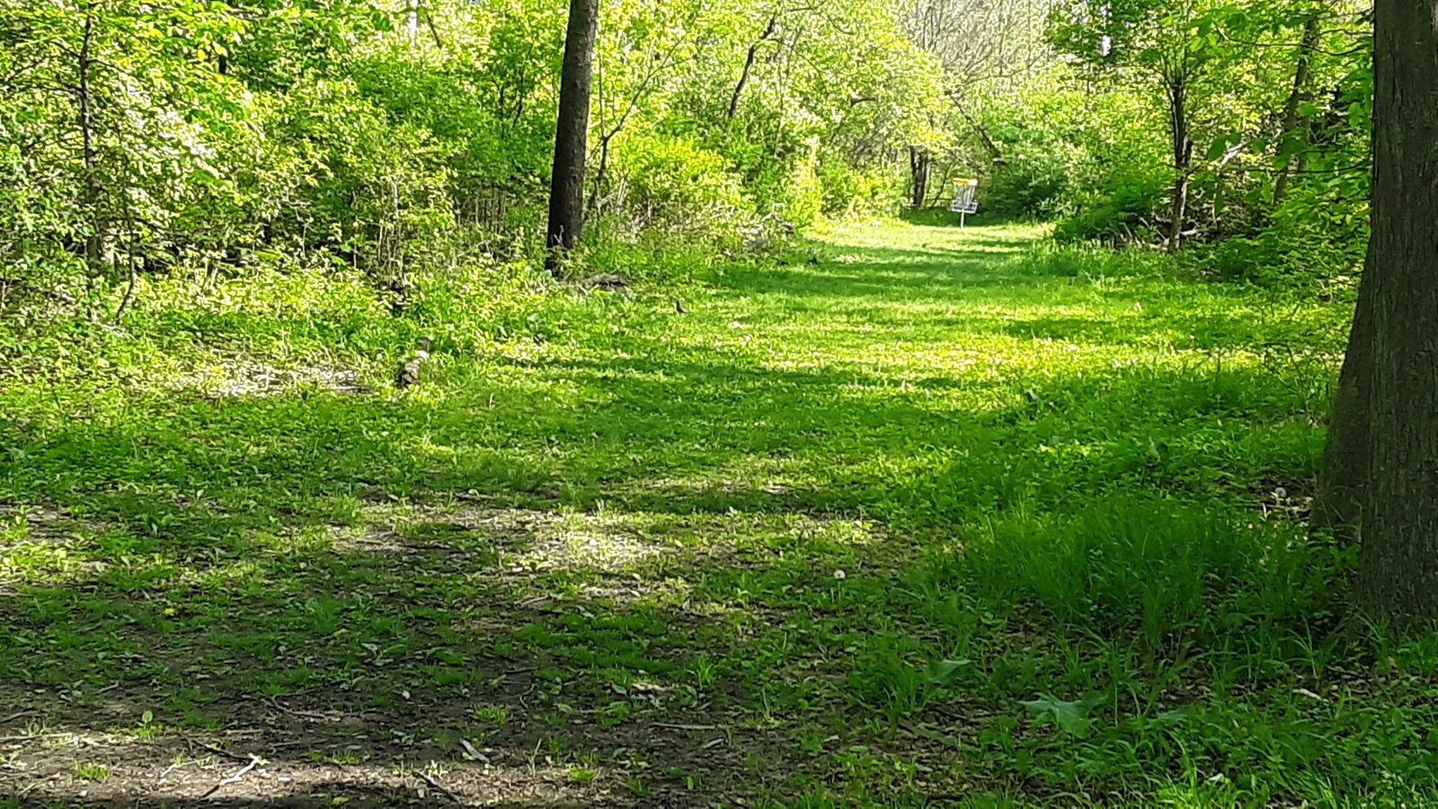 Ruthruff Ridge disc golf course in Lansing, Michigan
