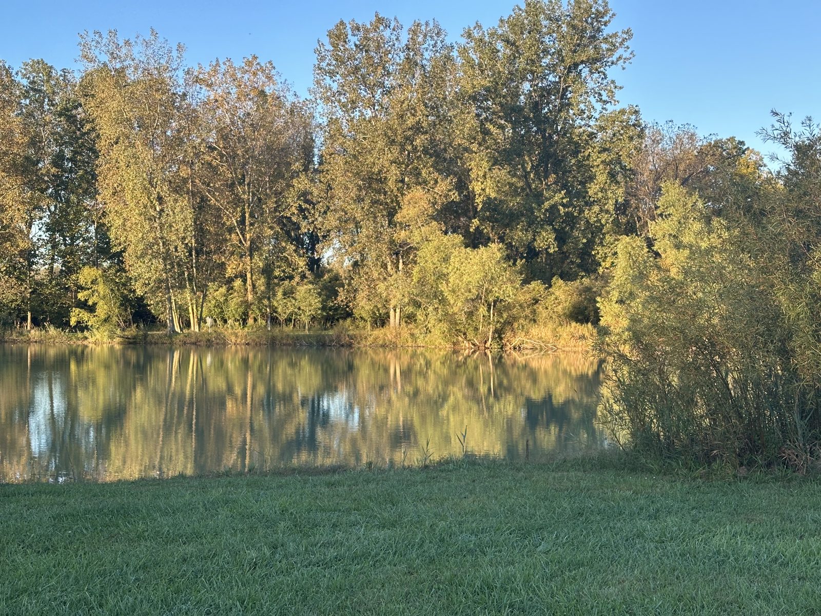 Maumee Bay State Park DGC disc golf course in Oregon, Ohio