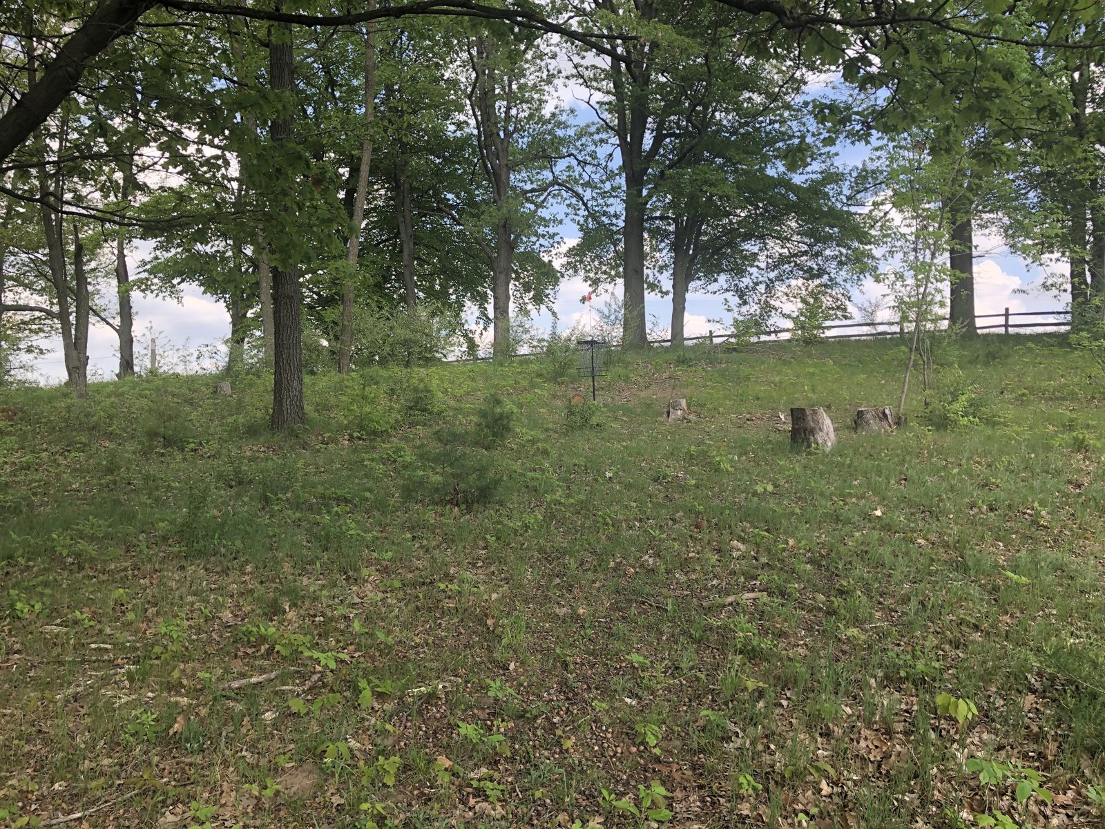 Lincoln Lake disc golf course in Gowen, Michigan