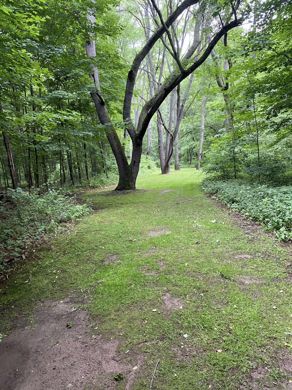 Big Portage Lake disc golf course in Munith, Michigan