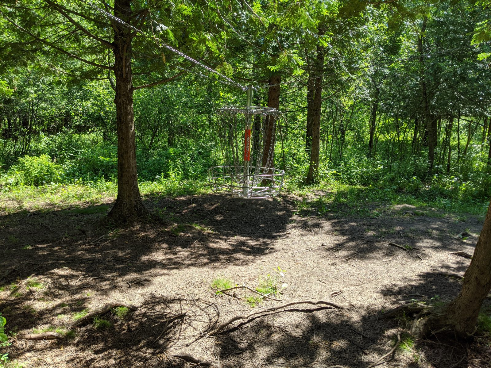 Oakwood Lake Park disc golf course in Oxford, Michigan