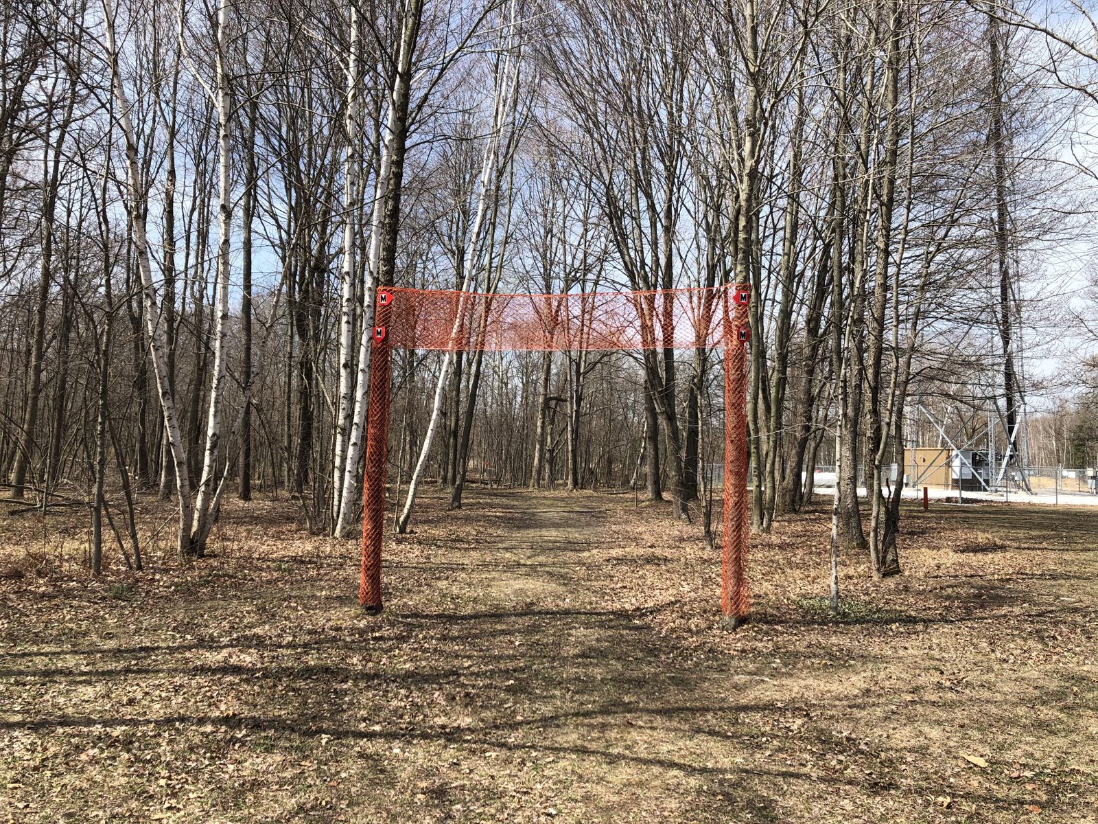 Taymouth Township Park disc golf course in Burt, Michigan