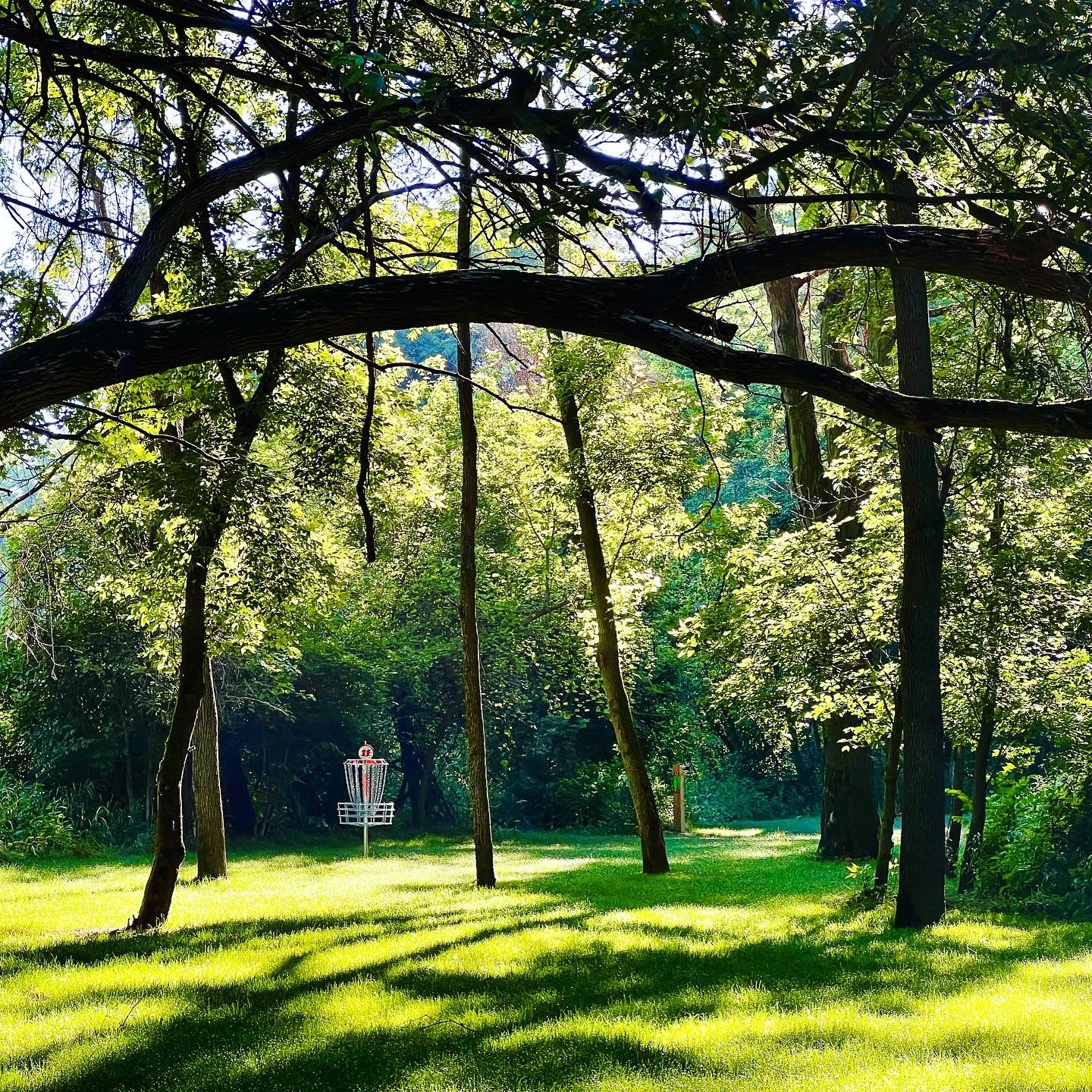 Opdycke Park disc golf course in Montpelier, Ohio