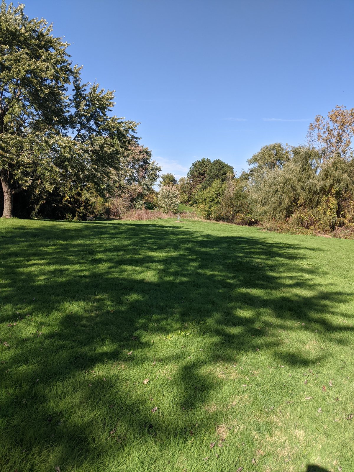 Independence Green DGC disc golf course in Farmington Hills, Michigan