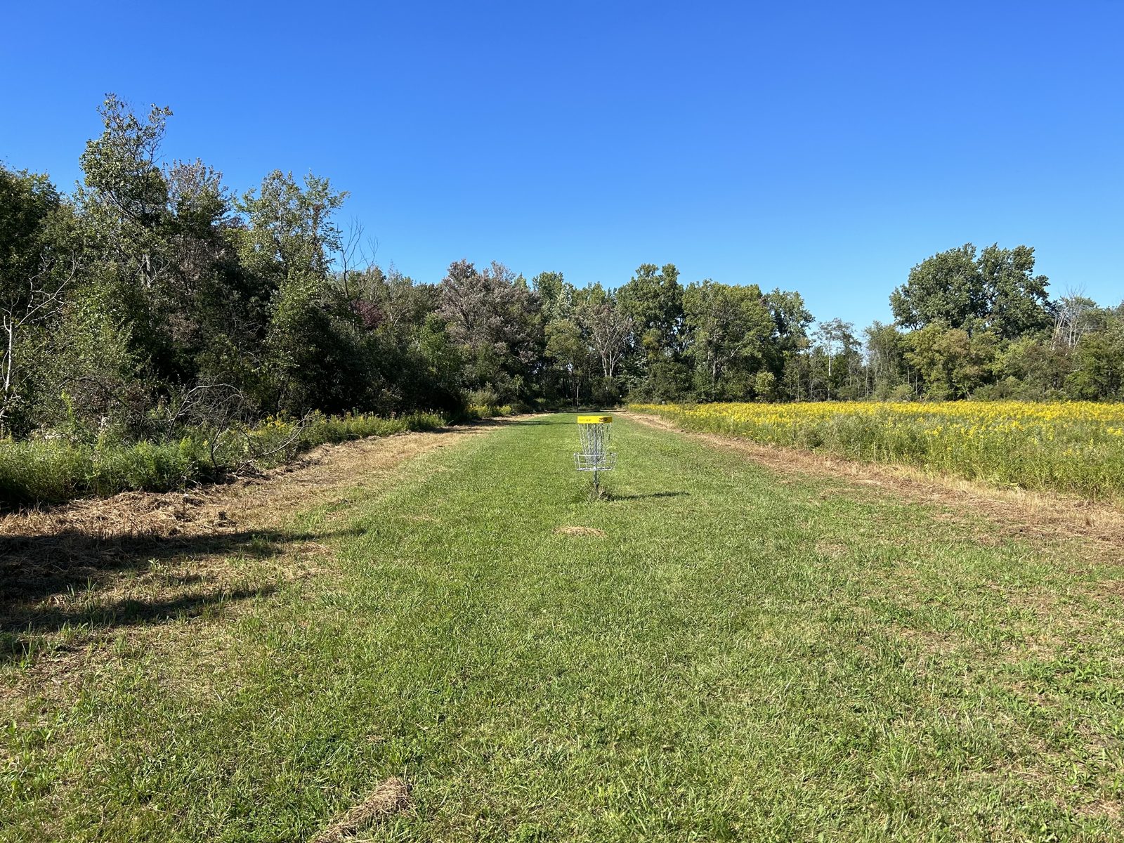 The Jungle disc golf course in Grant, Michigan