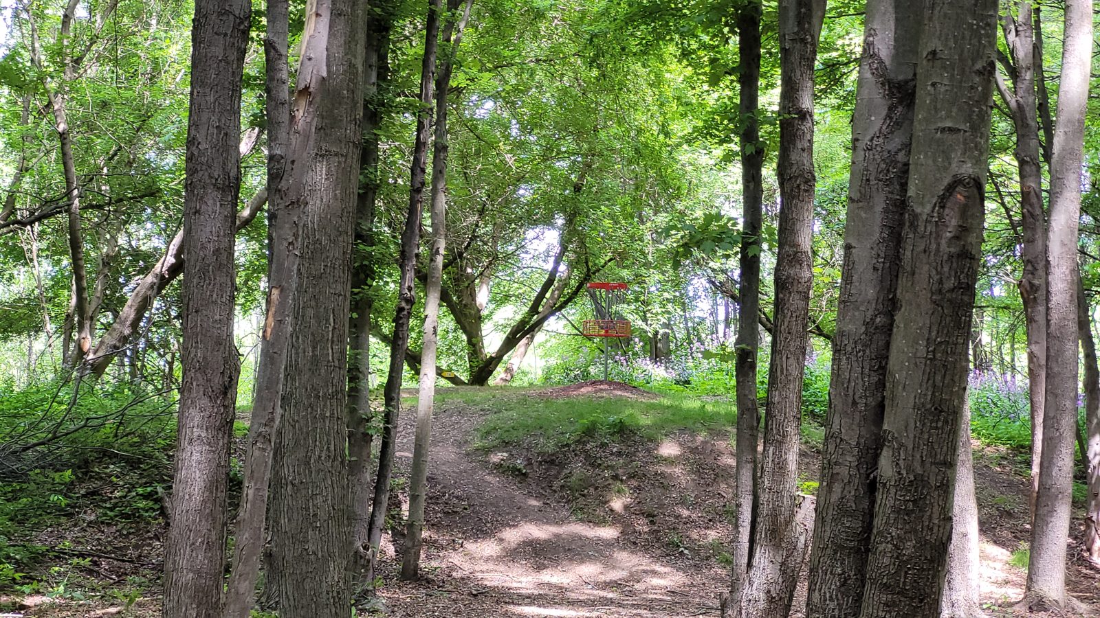 Kitson Disc Golf Course - YMCA disc golf course in Flint, Michigan